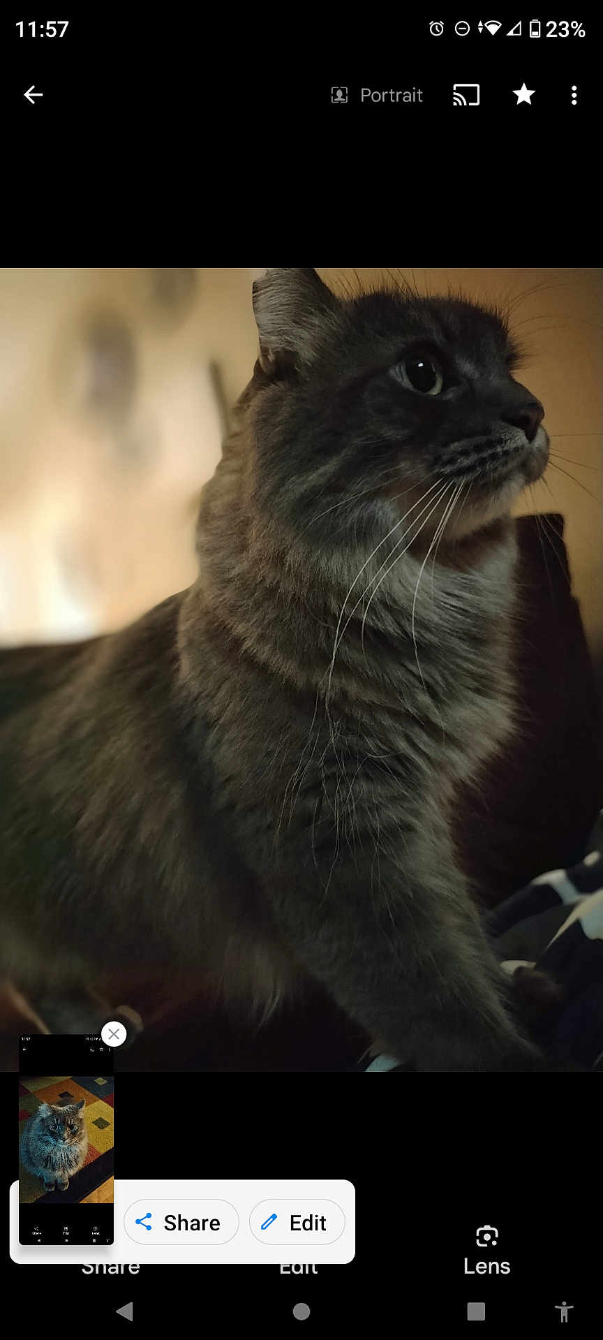 Tina