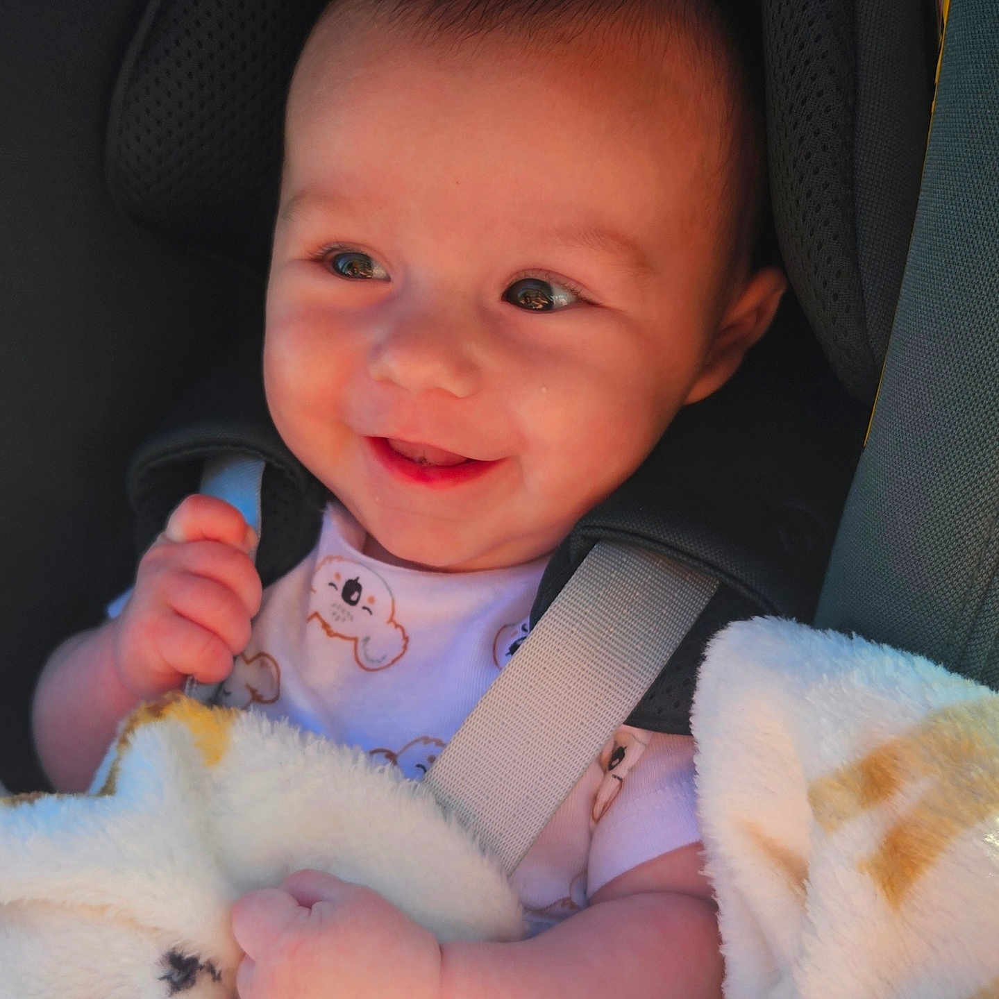 Marceau participe au concours pour gagner de l'argent avec cette photo : baby, blanket, car_seat, child, clothing, comfort, cute, expression, face, hand, happy, head, indoors, infant, portrait, seatbelt, sitting, skin, smiling, young