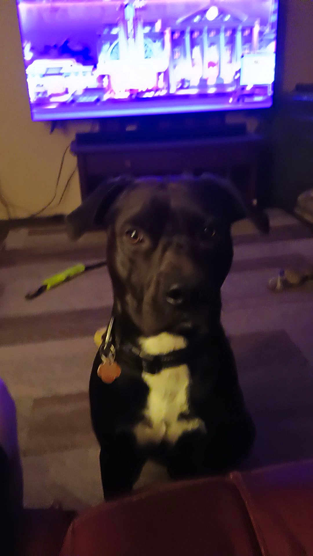 Christopher Mckinney