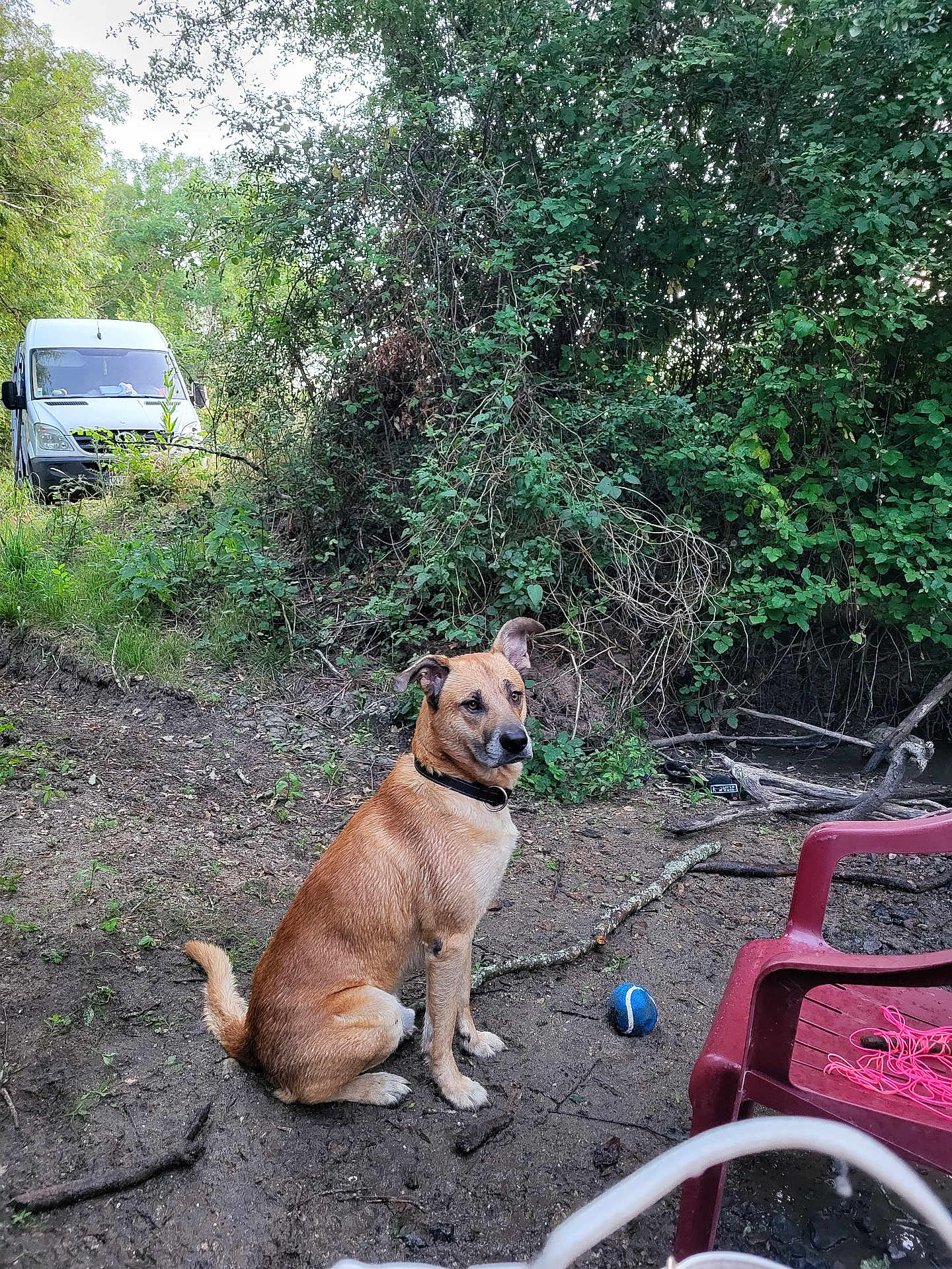 Taïko