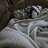 dog, blanket, couch, fur, cozy, indoor, pet, snuggled, resting, soft, furniture, comfort, relaxing, patterned_blanket, home, animal, warm, sleepy, companion, domestic