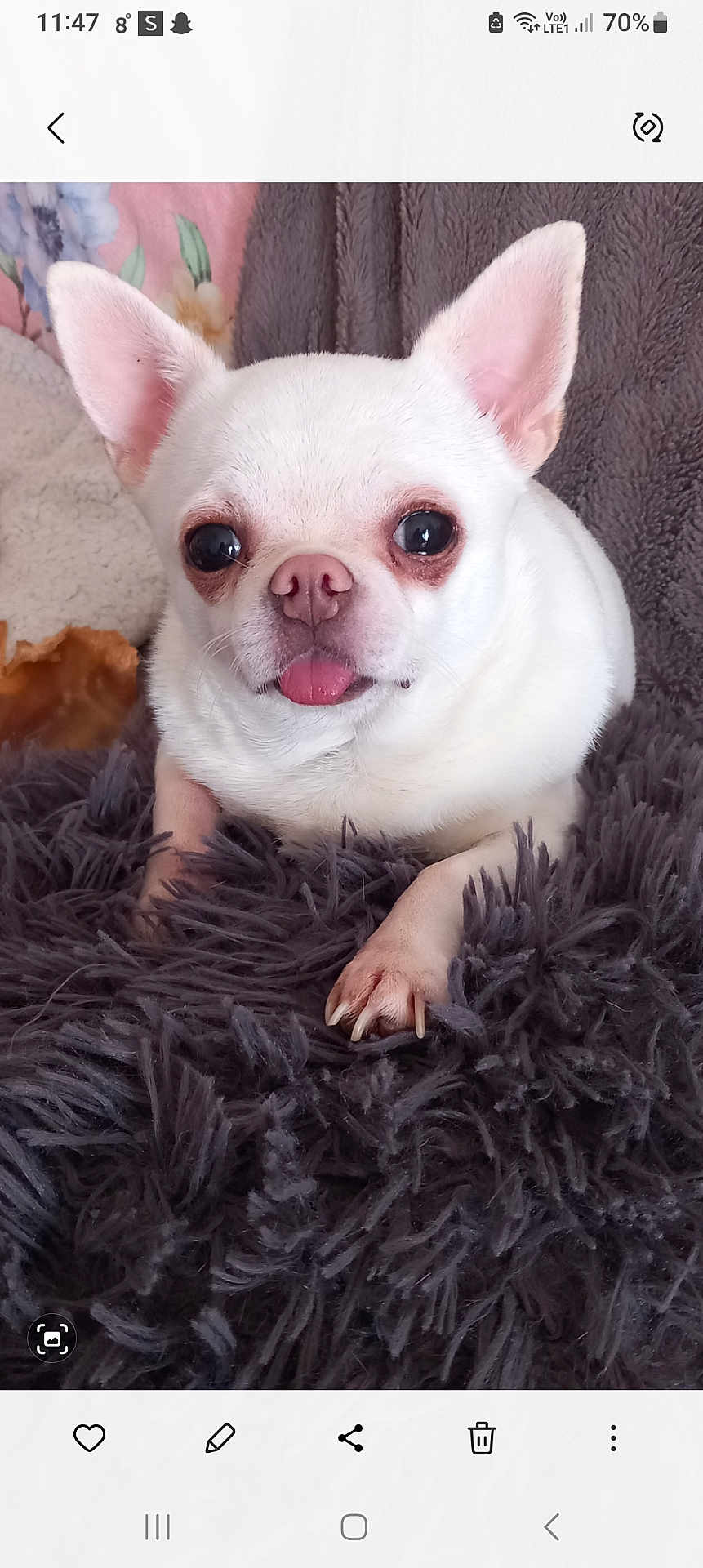 Mysti