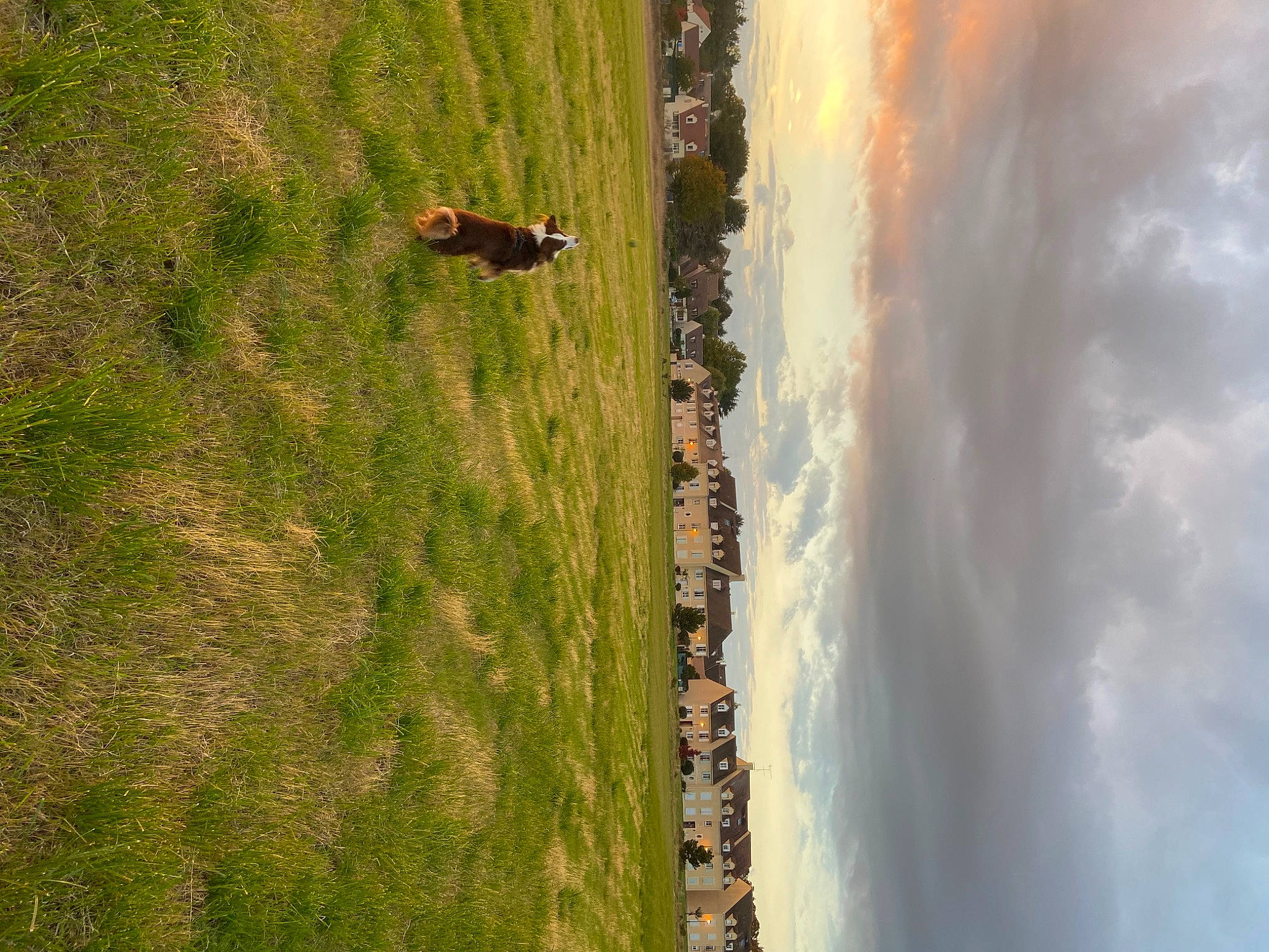 Bouddha a rejoint le concours — aidez-le/la à gagner de superbes lots ! body_of_water, cloud, field, grass, grassland, groundcover, landscape, pasture, pattern, plant, prairie, shadow, sky, slope, soil, tints_and_shades, tree, trunk, water, wood