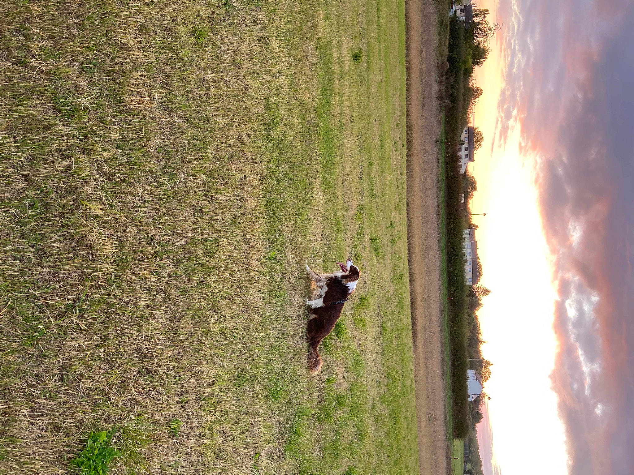 Bouddha participe au concours pour gagner de l'argent avec cette photo : adventure, extreme_sport, field, grass, grass_family, grassland, landscape, people_in_nature, plant, prairie, recreation, shadow, sky, tints_and_shades, tree, trunk, vehicle, water, window, wood