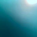 Vero R.