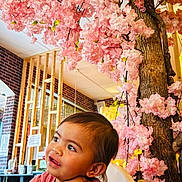 Owena a rejoint le concours — aidez-le/la à gagner de superbes lots ! child, toddler, pink_flowers, cherry_blossom, artificial_tree, indoor, restaurant, high_chair, wooden_table, portrait, smiling, face, brown_hair, pink_shirt, brick_wall, window, decor, tree_trunk, blossoms, candid