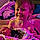 Asher