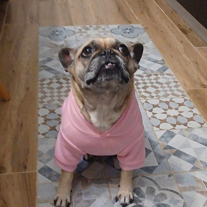 Nina