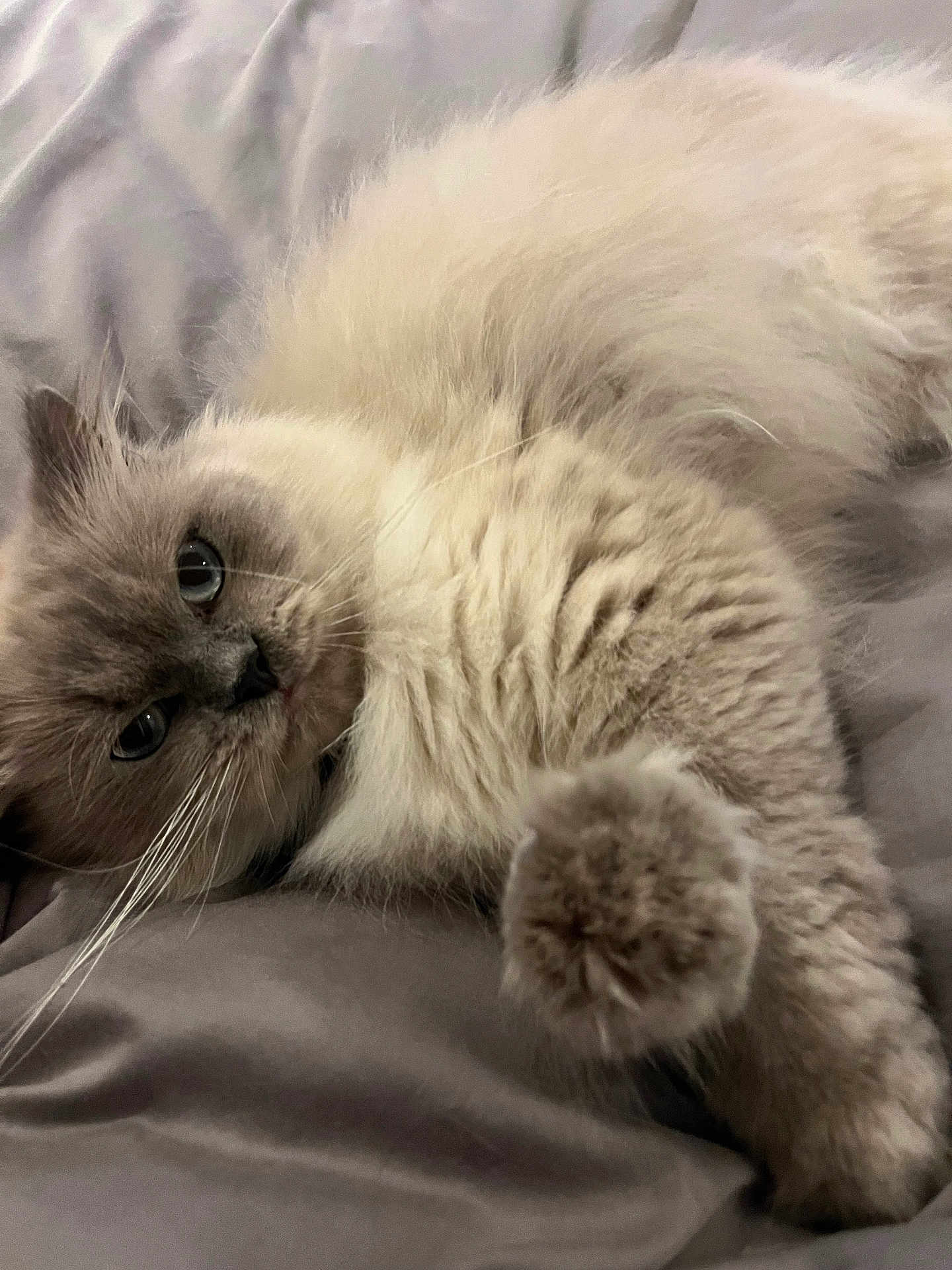 Blu