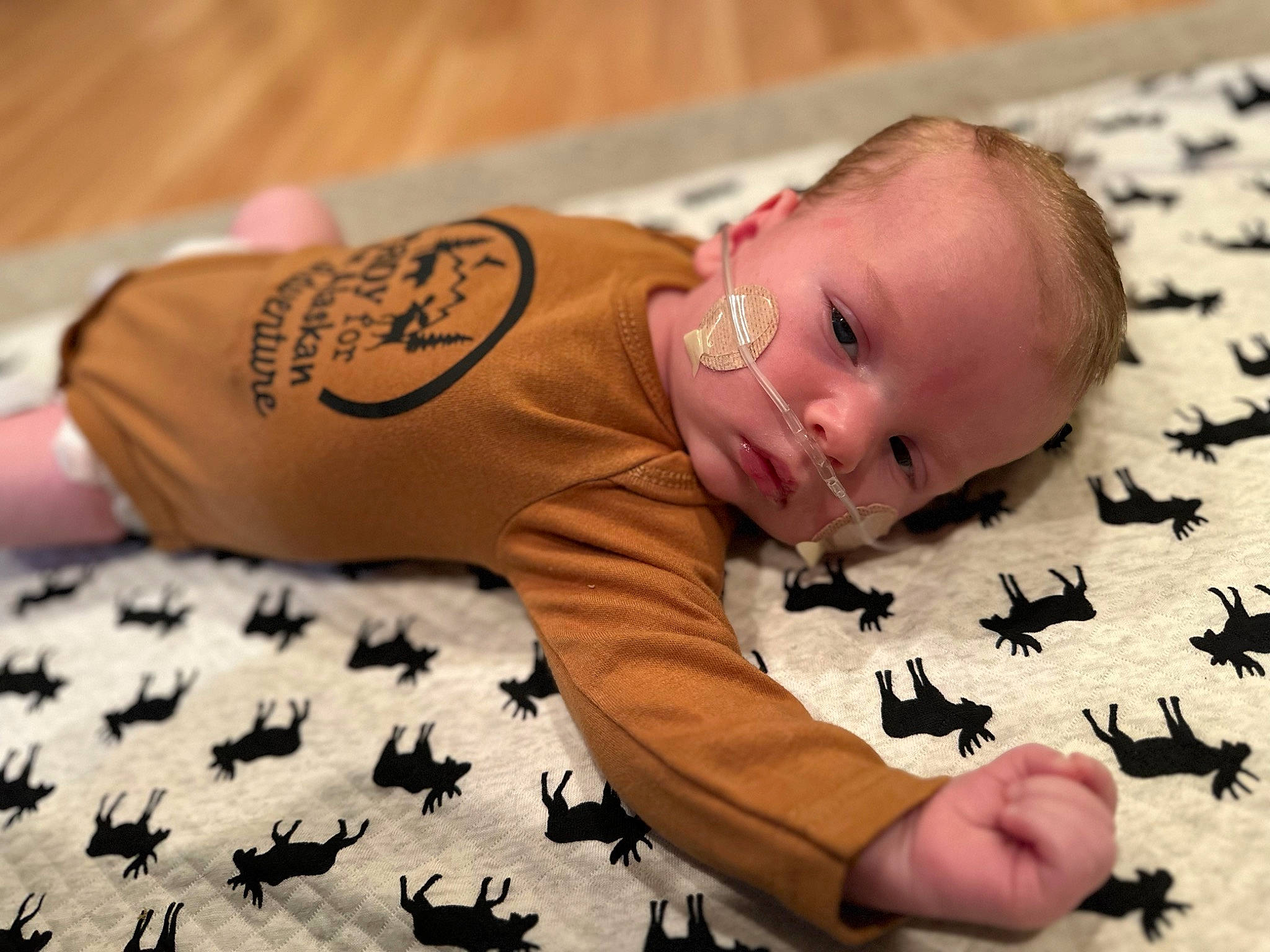 Colton is registered to the contest to win money with this photo: baby, black, child, comfort, design, eye, facial_expression, finger, flooring, font, gesture, hand, happy, human, mouth, pattern, people_in_nature, person, skin, toddler