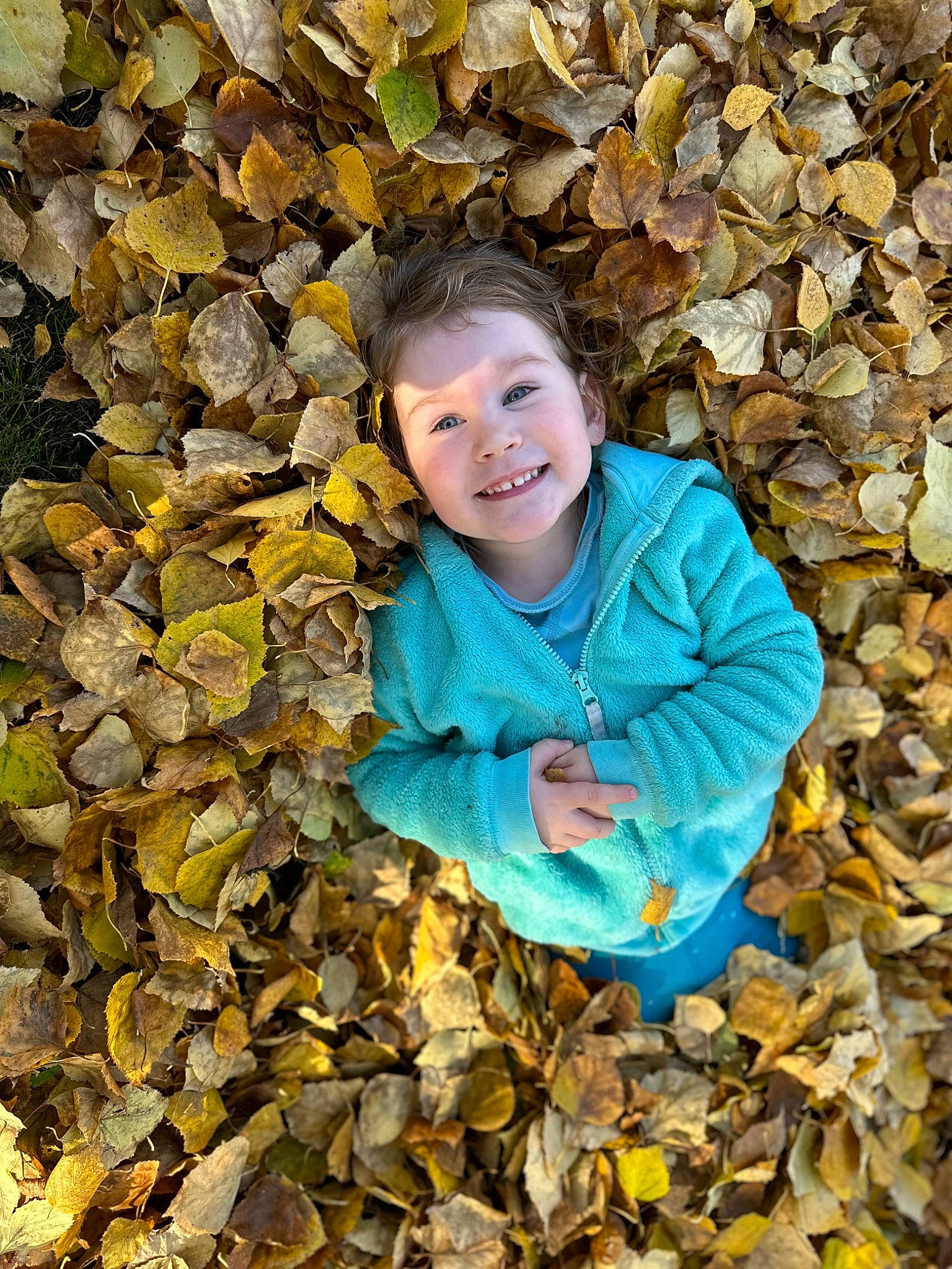 Emaline joined the competition — help win amazing prizes! adaptation, child, clothing, deciduous, eye, face, fun, grass, happy, head, joy, leaf, leisure, outerwear, people_in_nature, person, plant, smile, toddler, tree