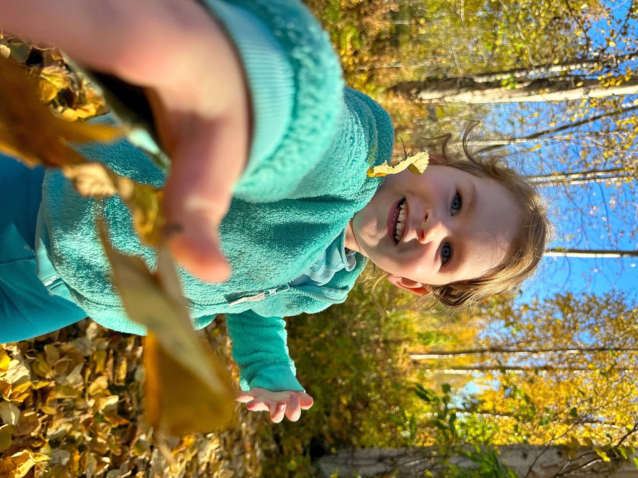 Emaline is registered to the contest to win money with this photo: adaptation, autumn, baby, child, electric_blue, facial_expression, fun, grass, happy, joy, leaf, leisure, mouth, natural_environment, people_in_nature, person, plant, play, reptile, smile