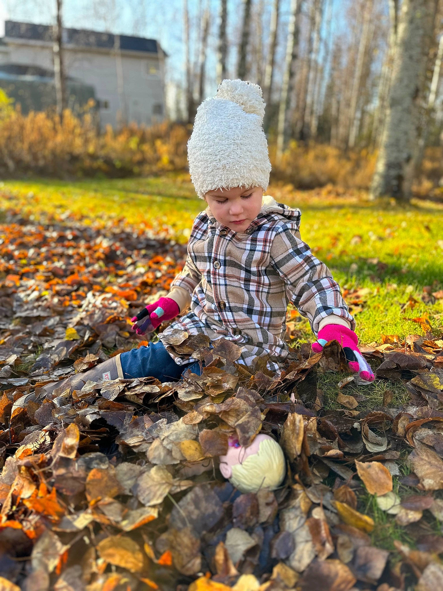 Emaline is registered to the contest to win money with this photo: child, deciduous, fun, grass, happy, head, headwear, jacket, landscape, leaf, leisure, morning, people_in_nature, person, plant, sitting, soil, sunlight, toddler, tree
