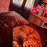 cat, bed, pillow, curled_up, feline, indoor, furniture, window, curtains, dresser, soft_lighting, cozy, resting, sleeping, brown_cat, striped_fur, domestic_cat, pet, relaxing, warm_colors