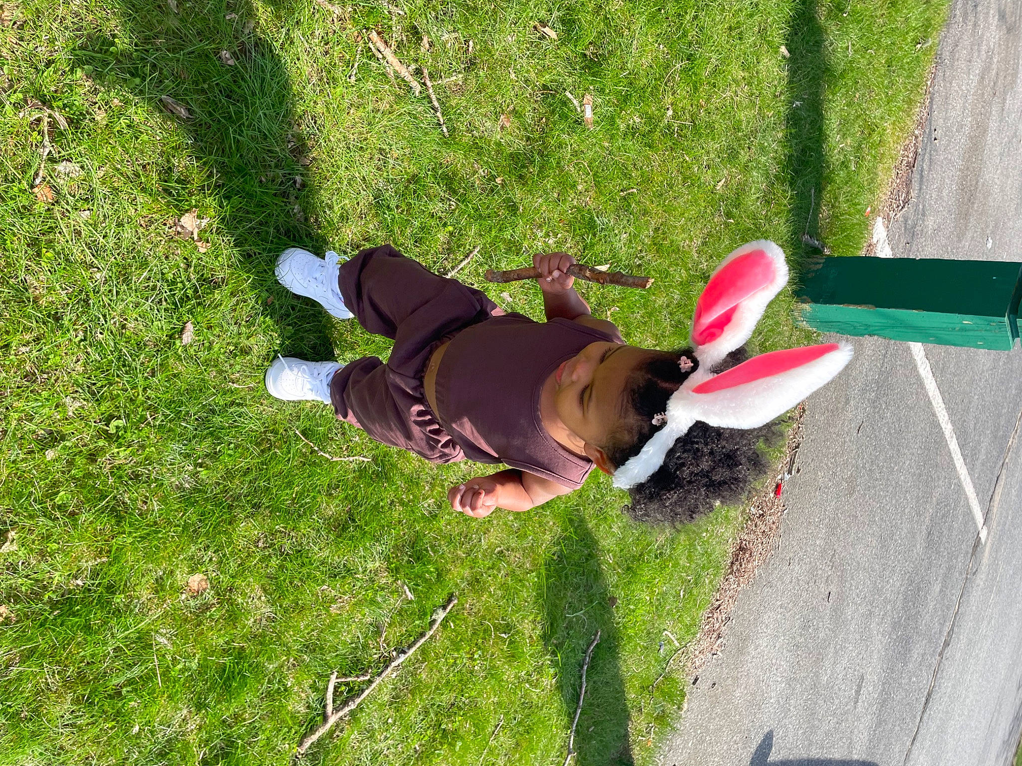 Ohana is registered to the contest to win money with this photo: carnivore, companion_dog, dog, dog_breed, fun, grass, grass_family, grassland, groundcover, lawn, leaf, leisure, people_in_nature, person, plant, recreation, shadow, shrub, sporting_group, tail