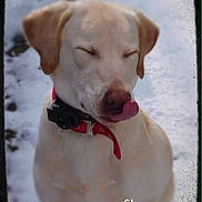 Chance joined the competition — help win amazing prizes!