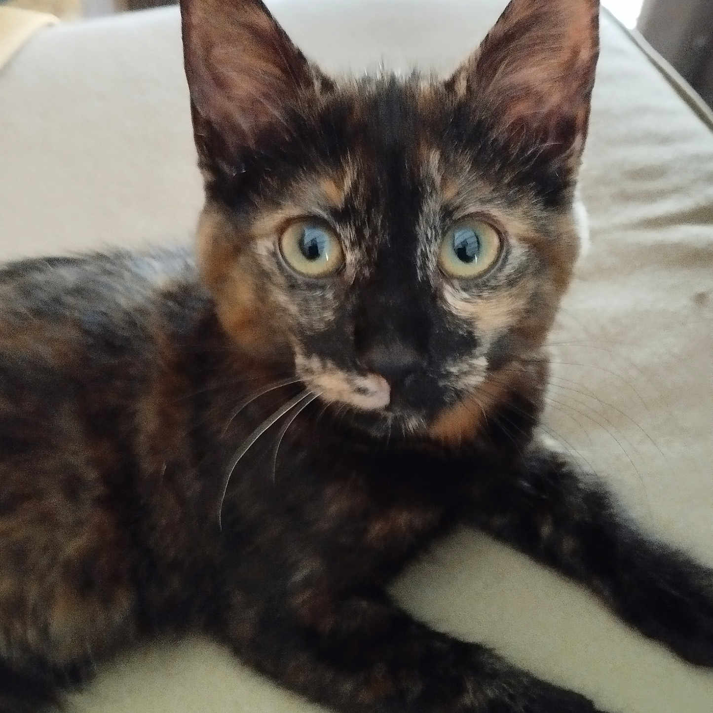 Mia