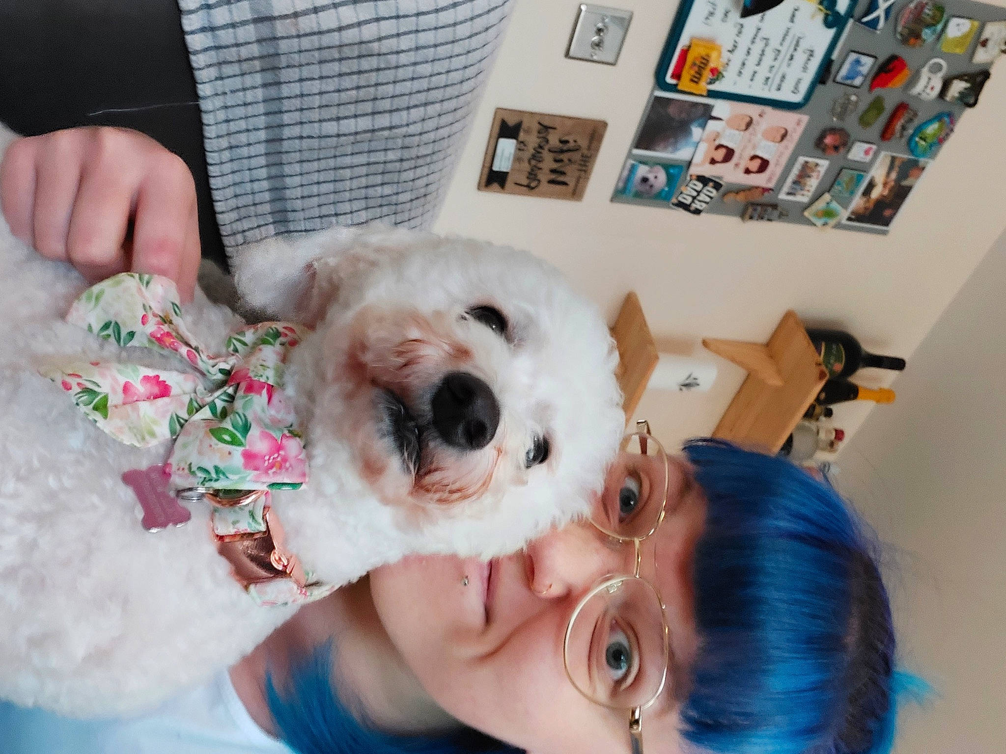 Ella joined the competition — help win amazing prizes! canidae, carnivore, child, companion_dog, dog, dog_breed, event, eyewear, fashion_accessory, fur, goggles, happy, hat, picture_frame, smile, sporting_group, sunglasses, toy, toy_dog, vision_care