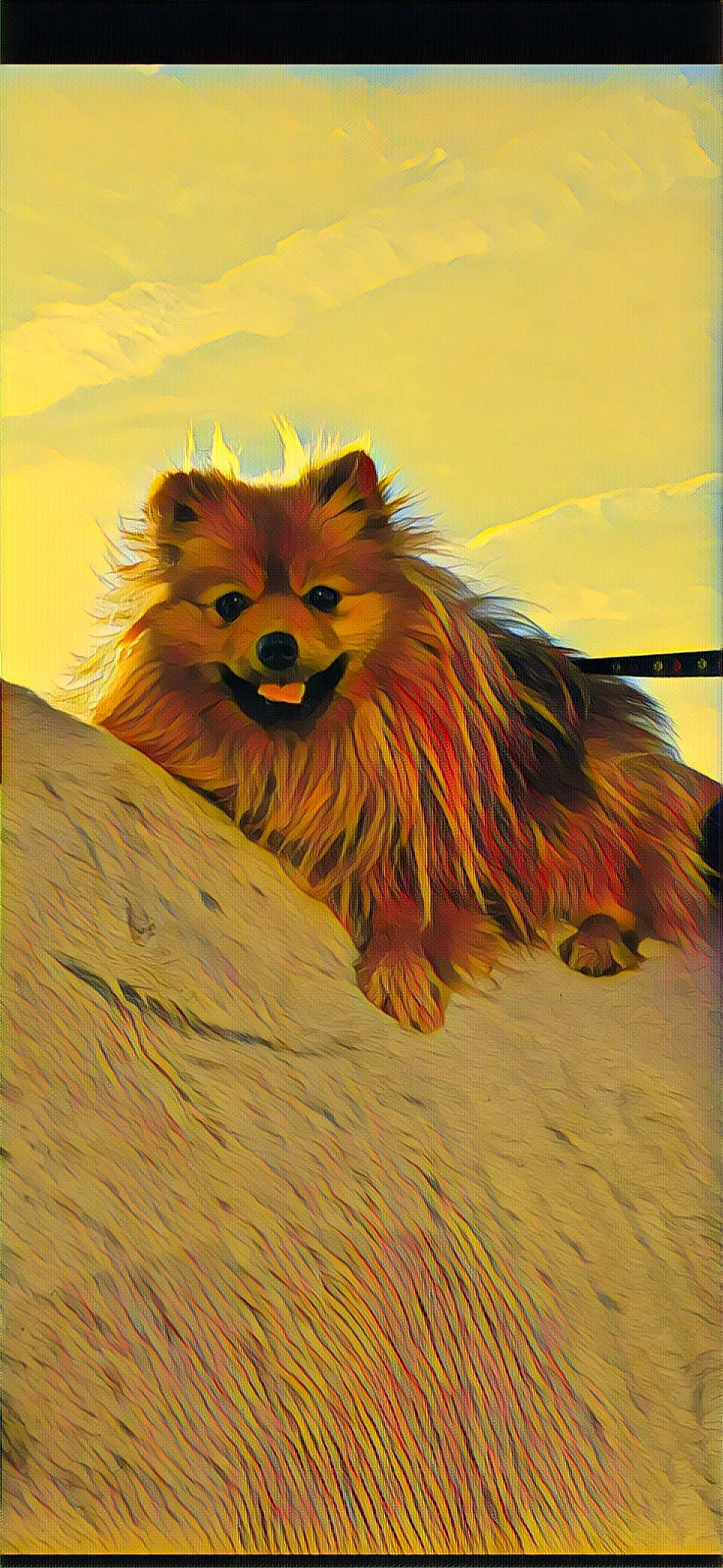 Hope Love a rejoint le concours — aidez-le/la à gagner de superbes lots ! ancient_dog_breeds, art, canidae, carnivore, companion_dog, dog_breed, felidae, fur, german_spitz, german_spitz_klein, illustration, liver, paw, spitz, sporting_group, tail, terrestrial_animal, whiskers, wildlife, wood