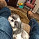 Molly