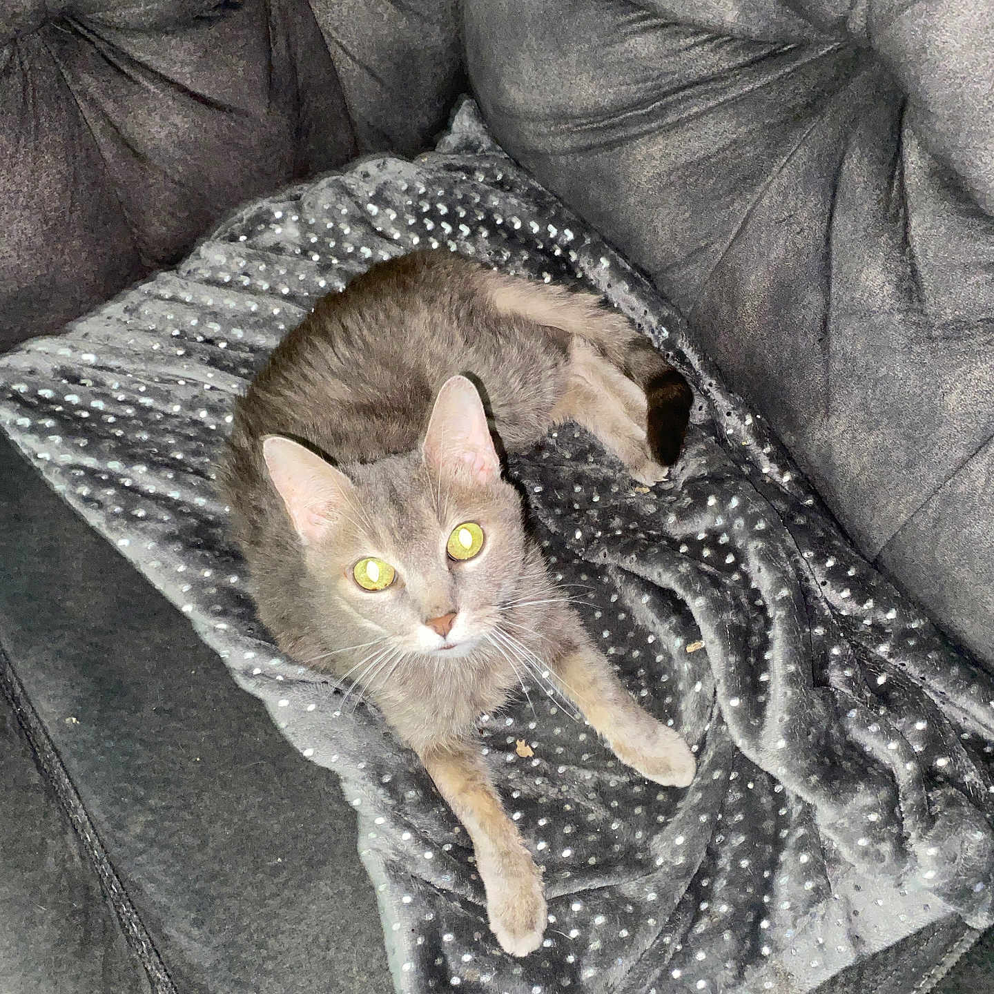 Precious