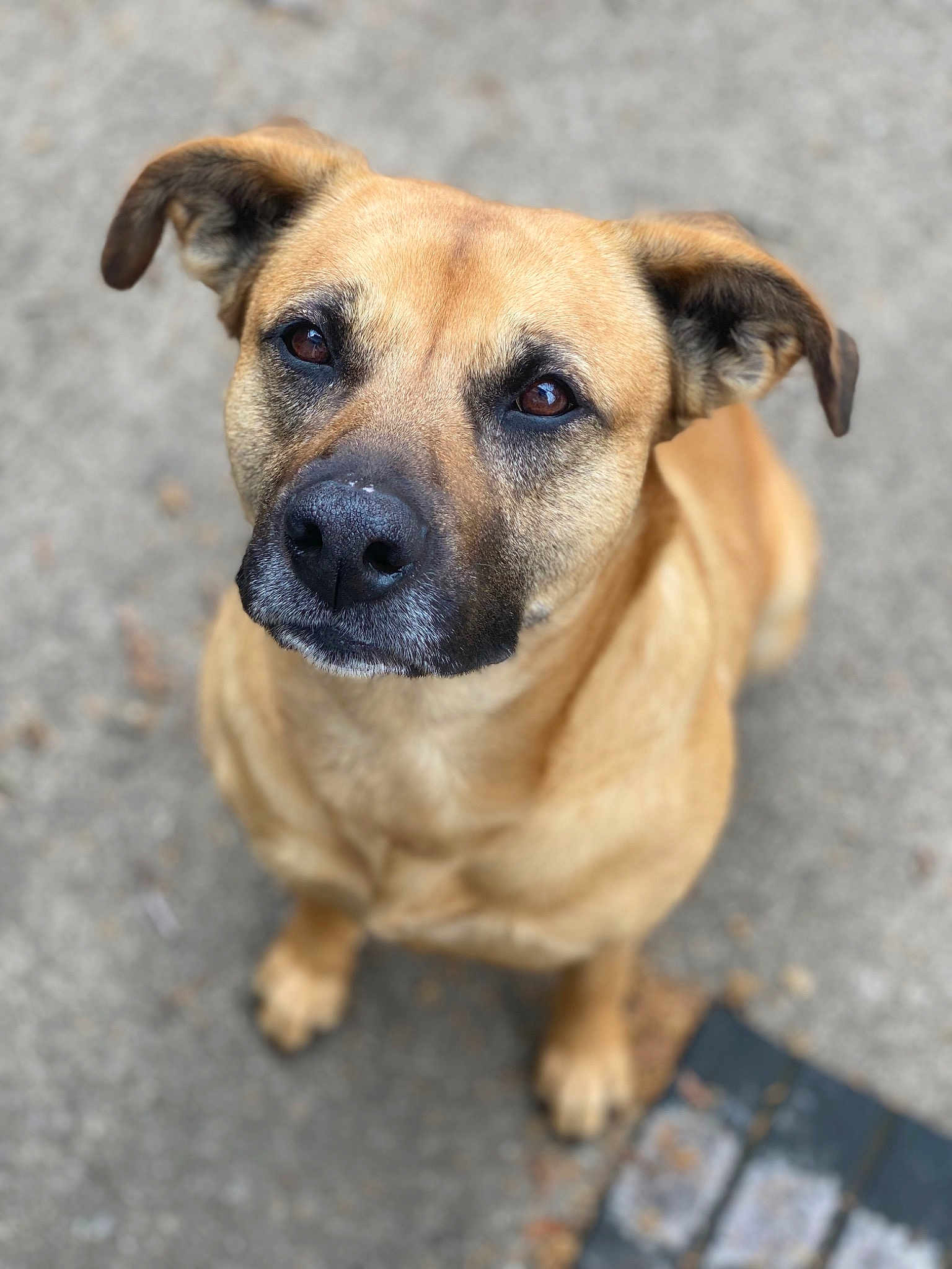 Bella