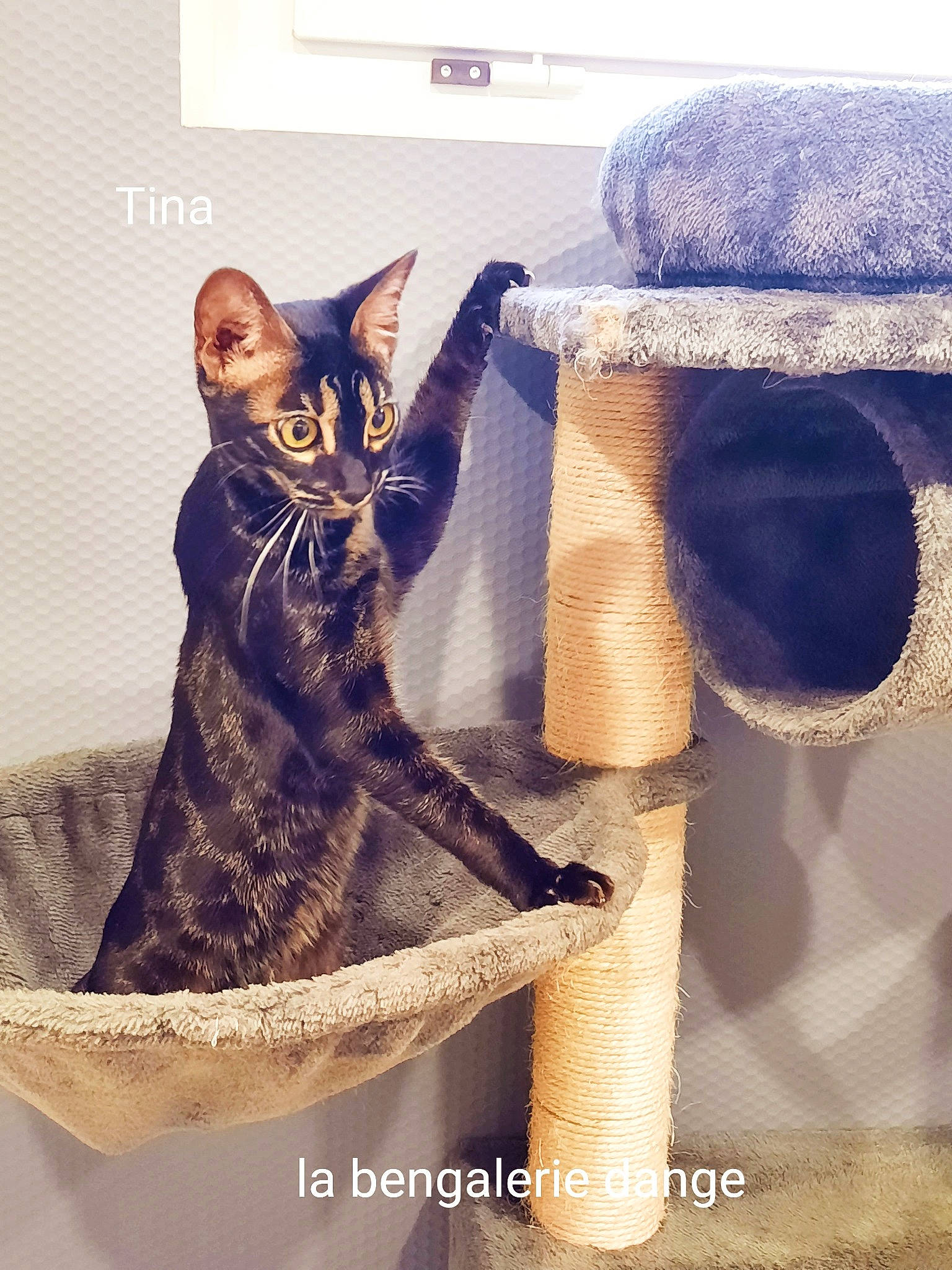 Tina