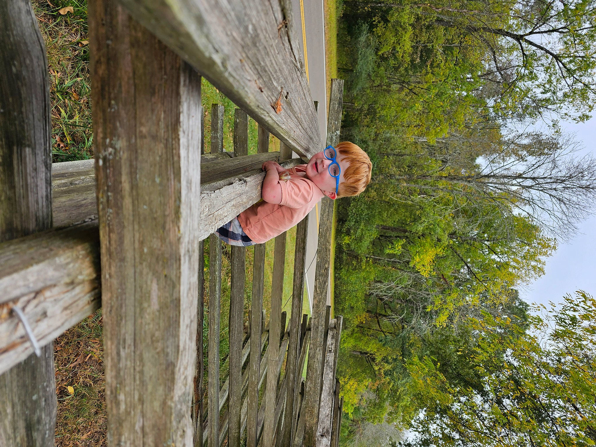 Ryder is registered to the contest to win money with this photo: adventure, climbing_harness, forest, fun, grass, house, jungle, landscape, leisure, person, plant, pole, recreation, rock_climbing_equipment, rope, sky, tree, trunk, wood