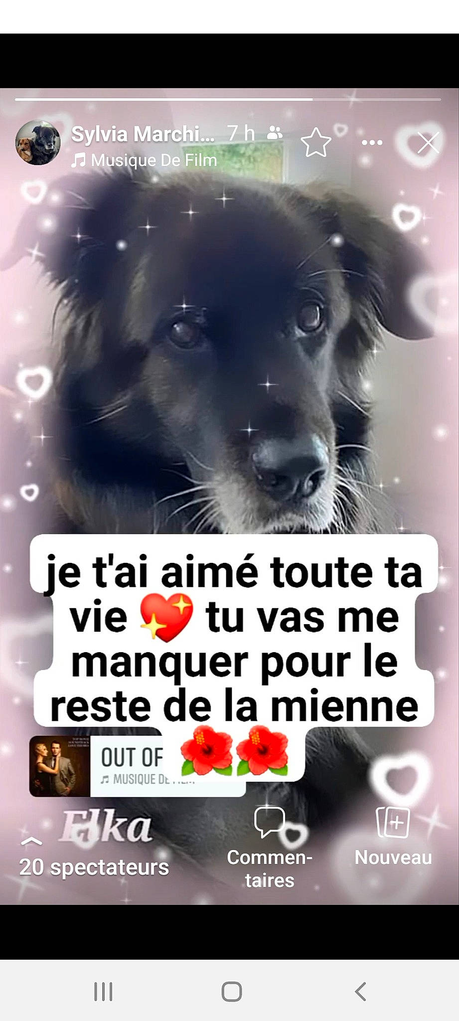 Cléophée Elka participe au concours pour gagner de l'argent avec cette photo : advertising, canidae, carnivore, companion_dog, dog, dog_breed, dog_supply, font, fur, graphic_design, happy, internet_meme, pet_supply, photo_caption, poster, publication, snout, sporting_group, terrestrial_animal, whiskers