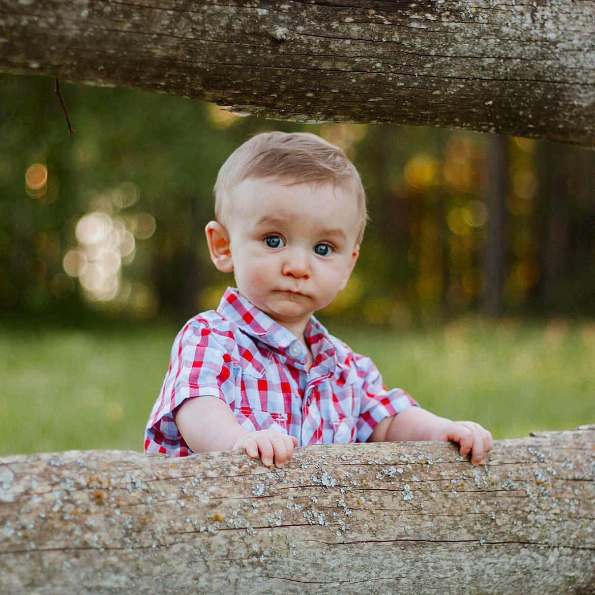 Waylon is registered to the contest to win money with this photo: baby, bodypart, clothing, dress, face, finger, grass, hand, happy, head, pants, person, photography, plant, portrait, sitting, smile, tree, treetrunk, wood