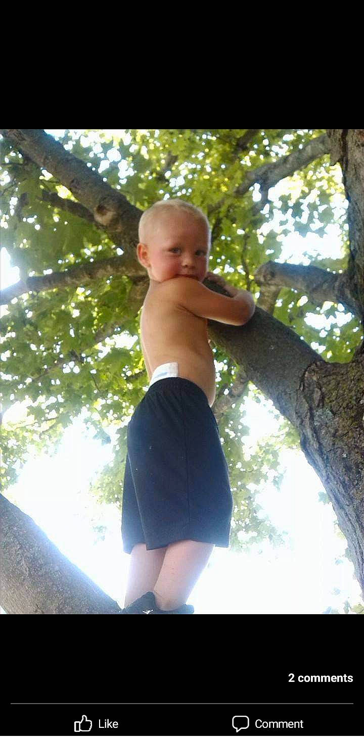 Brayden is registered to the contest to win money with this photo: chest, elbow, flash_photography, fun, hand, happy, human_body, leaf, leisure, muscle, people_in_nature, person, plant, shorts, sunlight, thigh, tints_and_shades, toddler, tree, trunk