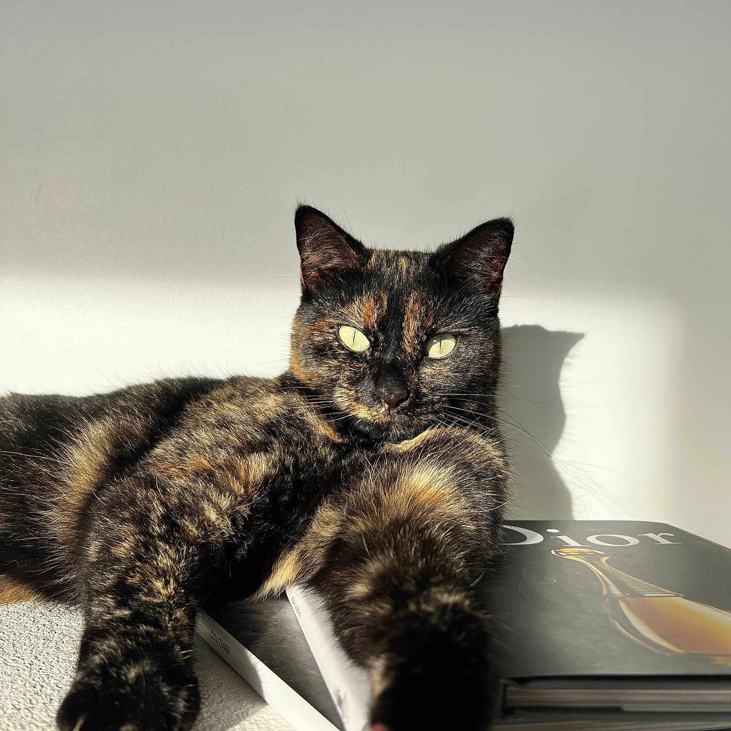 Tixie