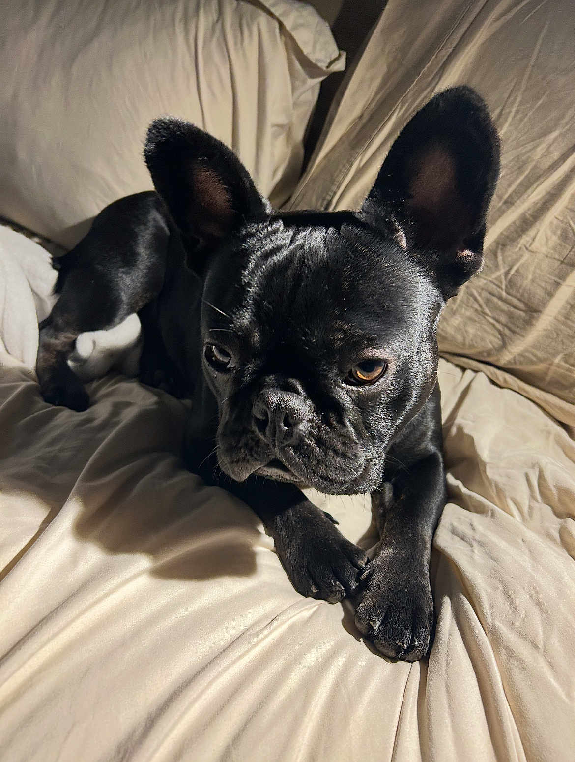 Lukeelliottskywalker