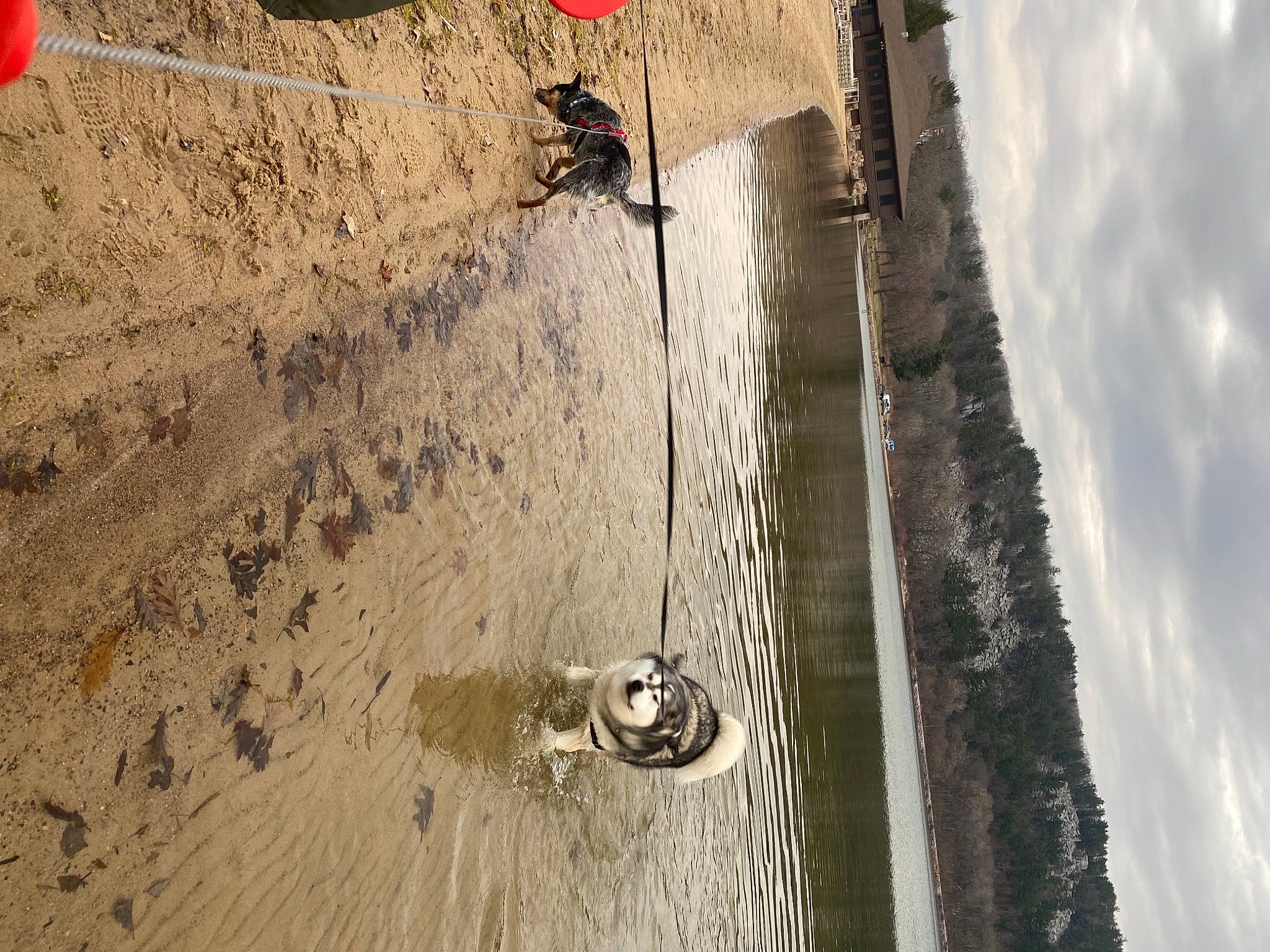 Bruce Willis is registered to the contest to win money with this photo: asphalt, automotive_tire, cloud, concrete, facade, geological_phenomenon, lake, landscape, recreation, rock, rope, shadow, sky, soil, tree, trunk, water, watercraft, wire, wood