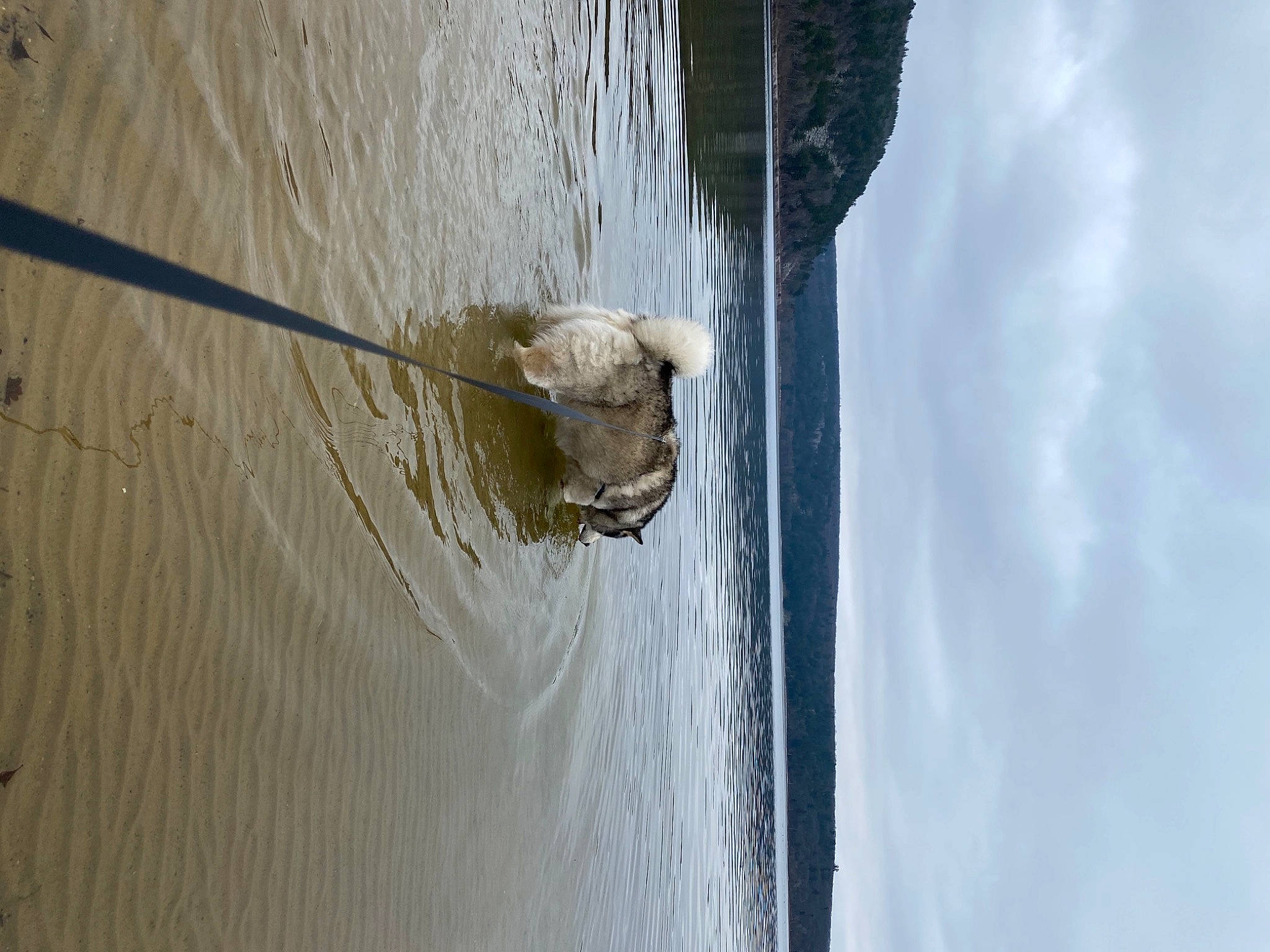 Bruce Willis joined the competition — help win amazing prizes! beach, boat, boats_and_boating_equipment_and_supplies, body_of_water, cloud, door, lake, ocean, recreation, reflection, rope, ship, sky, sporting_group, tail, vehicle, water, watercraft, wind, wood