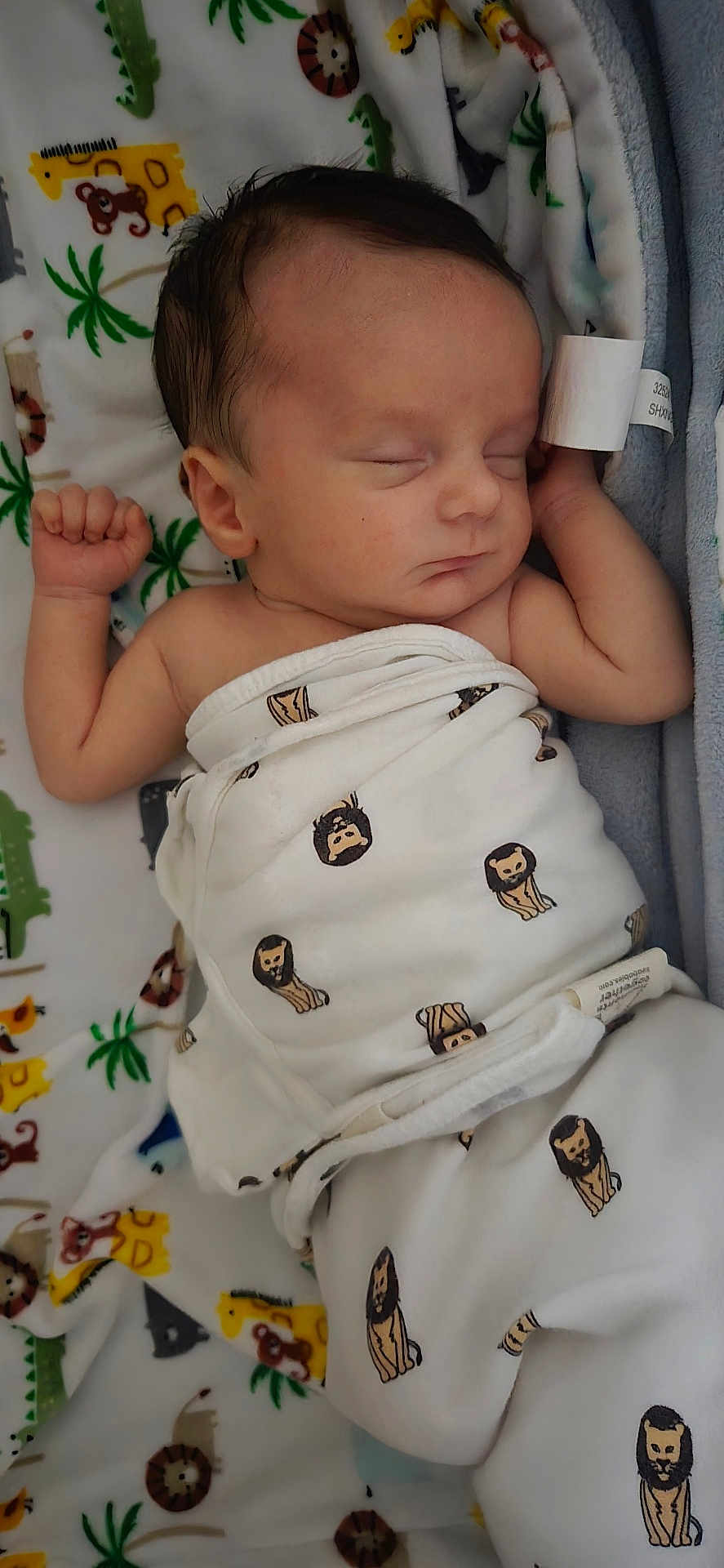 Anthony is registered to the contest to win money with this photo: baby, sleeping, newborn, blanket, lion_pattern, animal_print, swaddle, infant, cute, peaceful, fist, soft, bed, comfort, child, face, person, pajamas, lying_down, indoors
