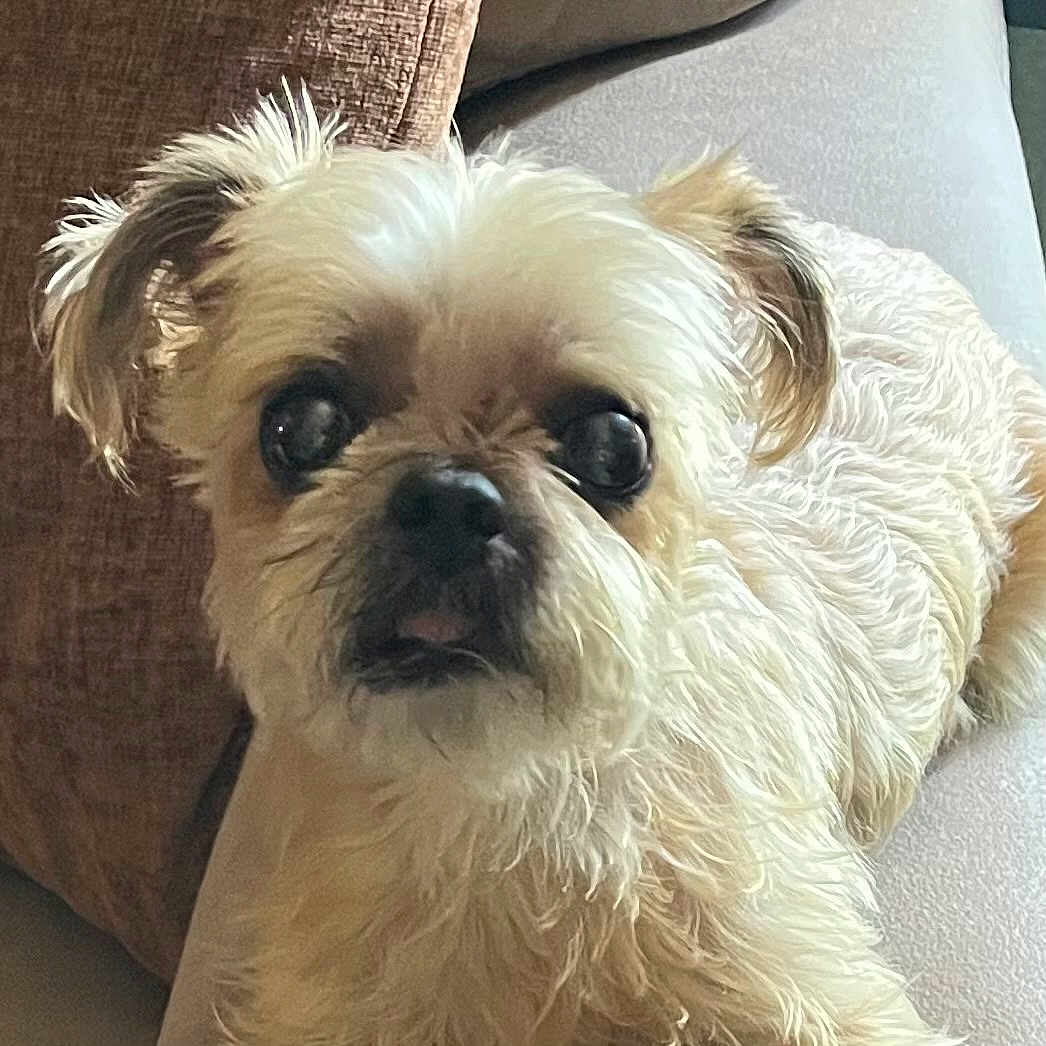 Deuce