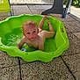 Théo participe au concours pour gagner de l'argent avec cette photo : barefoot, child, expression, face, garden, green, hair, outdoor, pavement, pavement_tiles, plastic, play, pool, shadow, skin, summer, sunlight, toddler, toy, water