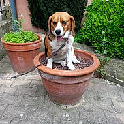 Speedy participe au concours pour gagner de l'argent avec cette photo :