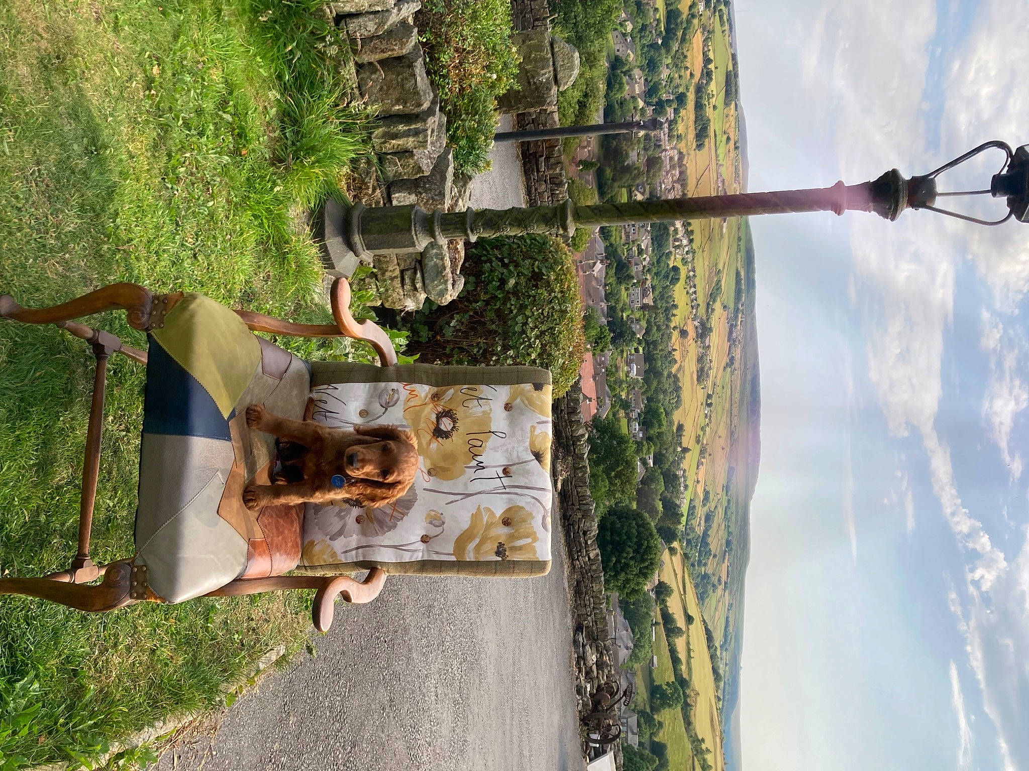 Jarvis joined the competition — help win amazing prizes! art, cloud, grass, landscape, leaf, leisure, metal, plant, sky, tree, vacation, visual_arts, water, wood