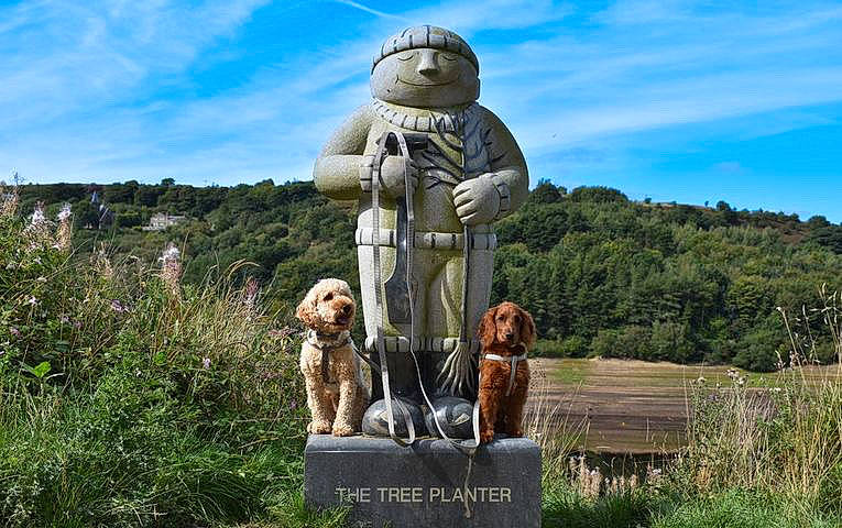 Jarvis joined the competition — help win amazing prizes! adaptation, agriculture, art, carnivore, cloud, dog, fawn, grass, grass_family, grassland, landscape, monument, nature, plant, sculpture, sky, sporting_group, statue, tree, working_animal