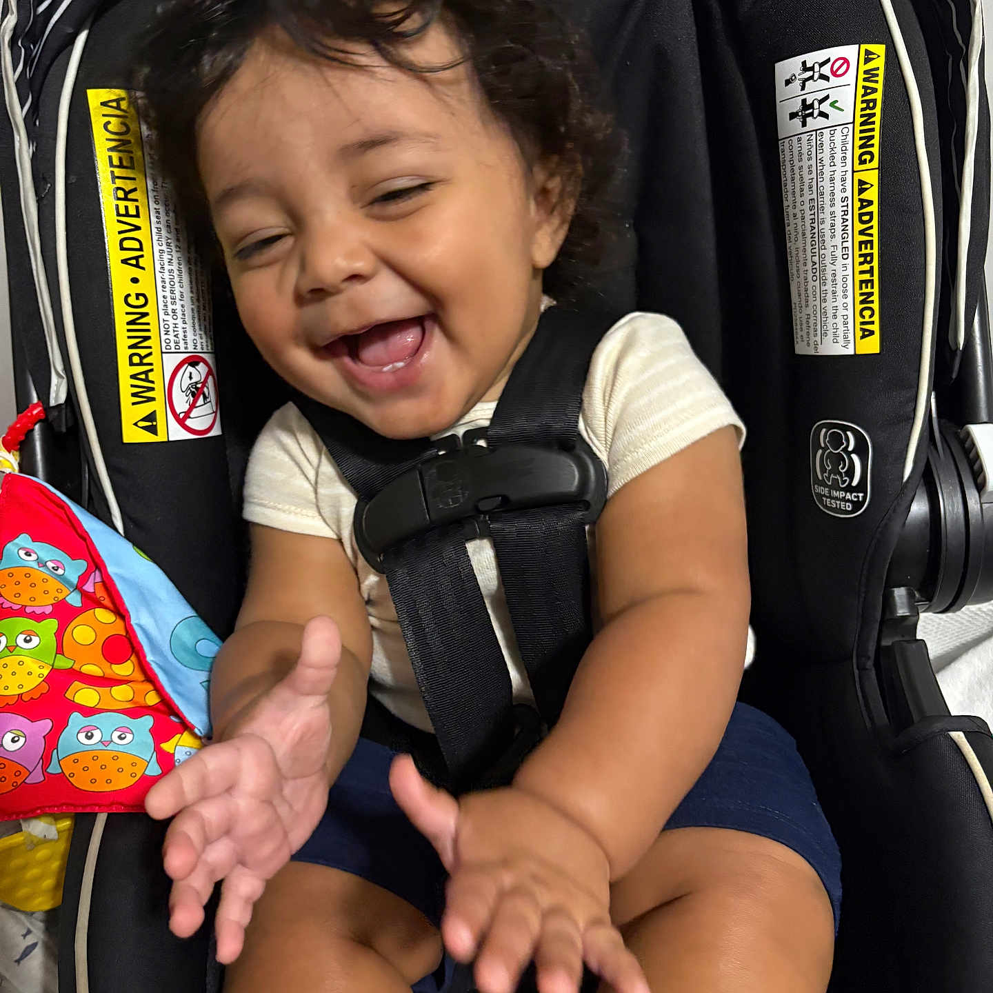 Jace Trinidad joined the competition — help win amazing prizes! baby, black_hair, car_seat, child, clapping, closeup, colorful, curly_hair, cute, happiness, happy, indoors, infant, infant_clothing, person, playful, safety_warning, seat_belt, smiling, toy