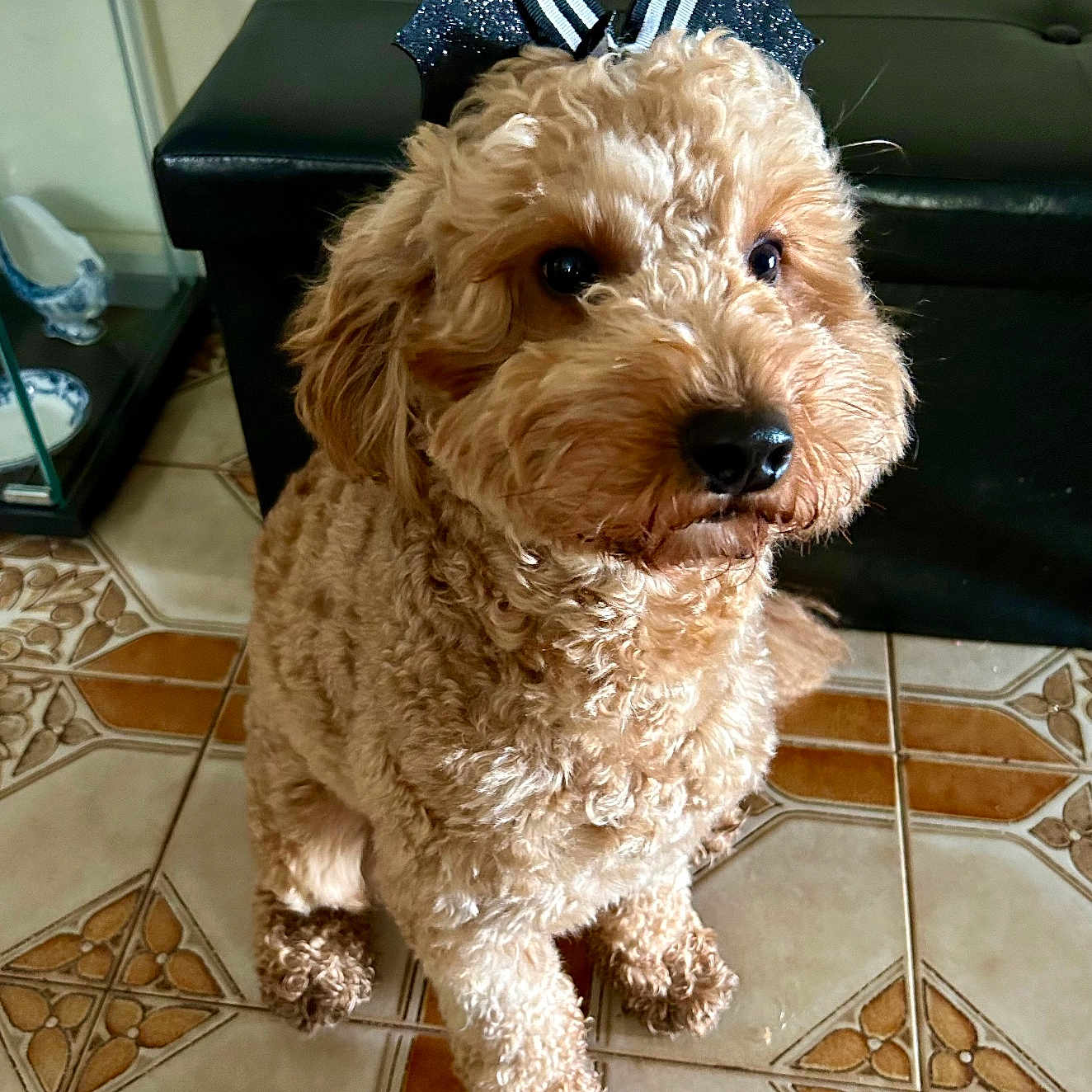 Oliver