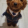 dog, brown_dog, costume, police_uniform, hat, pet, standing, cute, indoors, floor, tile_floor, small_dog, puppy, animal, looking_up, dress_up, funny, adorable, pet_clothing, canine