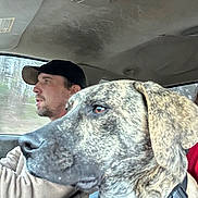 Jack joined the competition — help win amazing prizes! dog, person, car_interior, brindle, harness, cap, driving, window, seat, side_view, closeup, focus, animal, man, transport, road_trip, casual_clothing, daytime, pet, travel