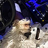 dog, sleeping, blanket, paw_prints, car_interior, dashboard, steering_wheel, blue_light, sunglasses, cozy, pet, fur, relaxing, comfort, seat, vehicle, companion, domestic_animal, resting, indoor