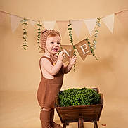Ewen participe au concours pour gagner de l'argent avec cette photo : toddler, child, brown_knit_outfit, bonnet, socks, wheelbarrow, greenery, decorations, bunting, indoor, studio, portrait, smiling, happy, celebration, first_birthday, rustic, wooden, plant, cute