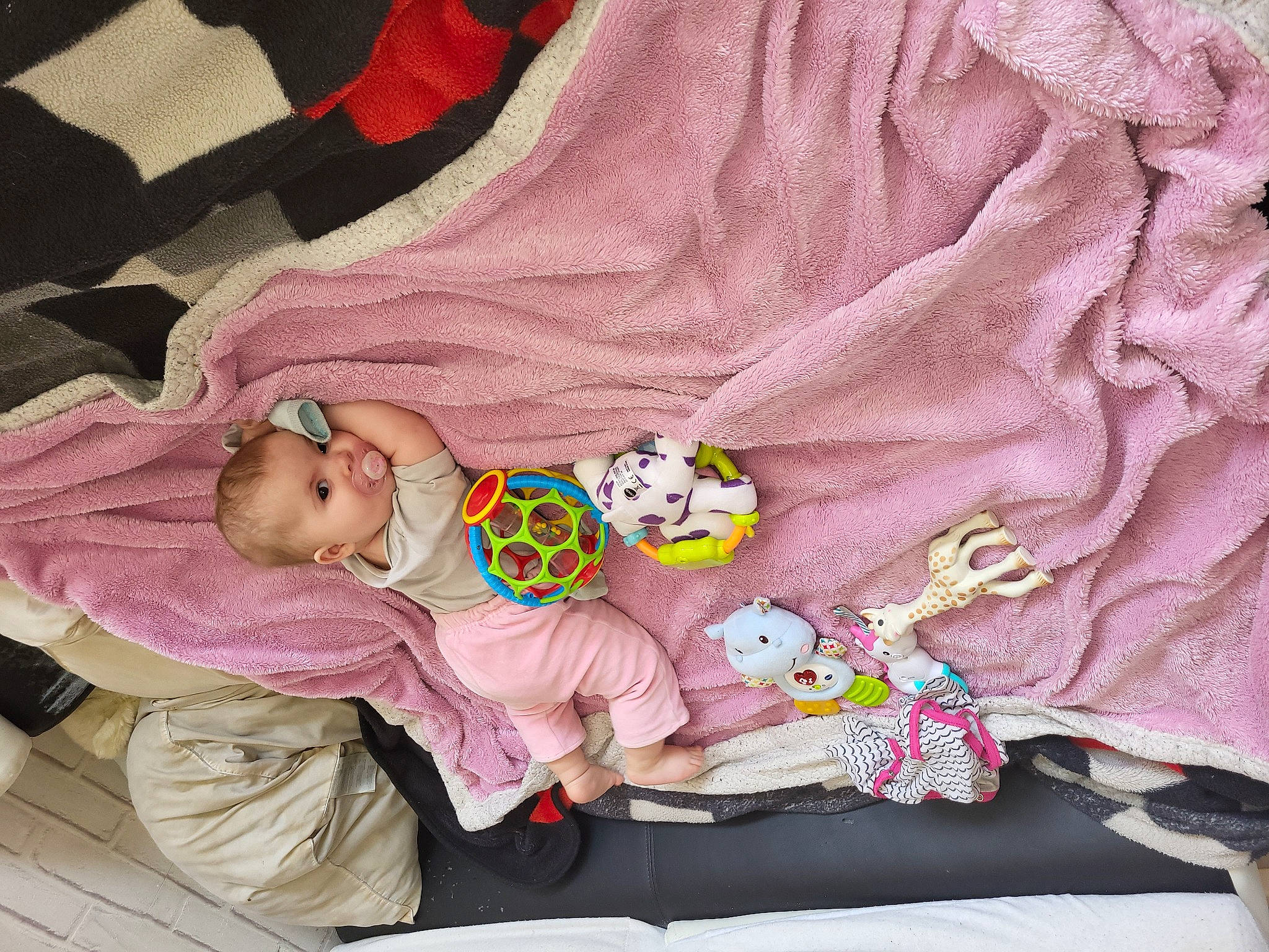 Lea participe au concours pour gagner de l'argent avec cette photo : baby, baby_products, baby_safety, baby_sleeping, baby_toddler_clothing, baby_toys, child, comfort, linens, magenta, pattern, person, pink, product, purple, room, sleeve, textile, toddler, toy