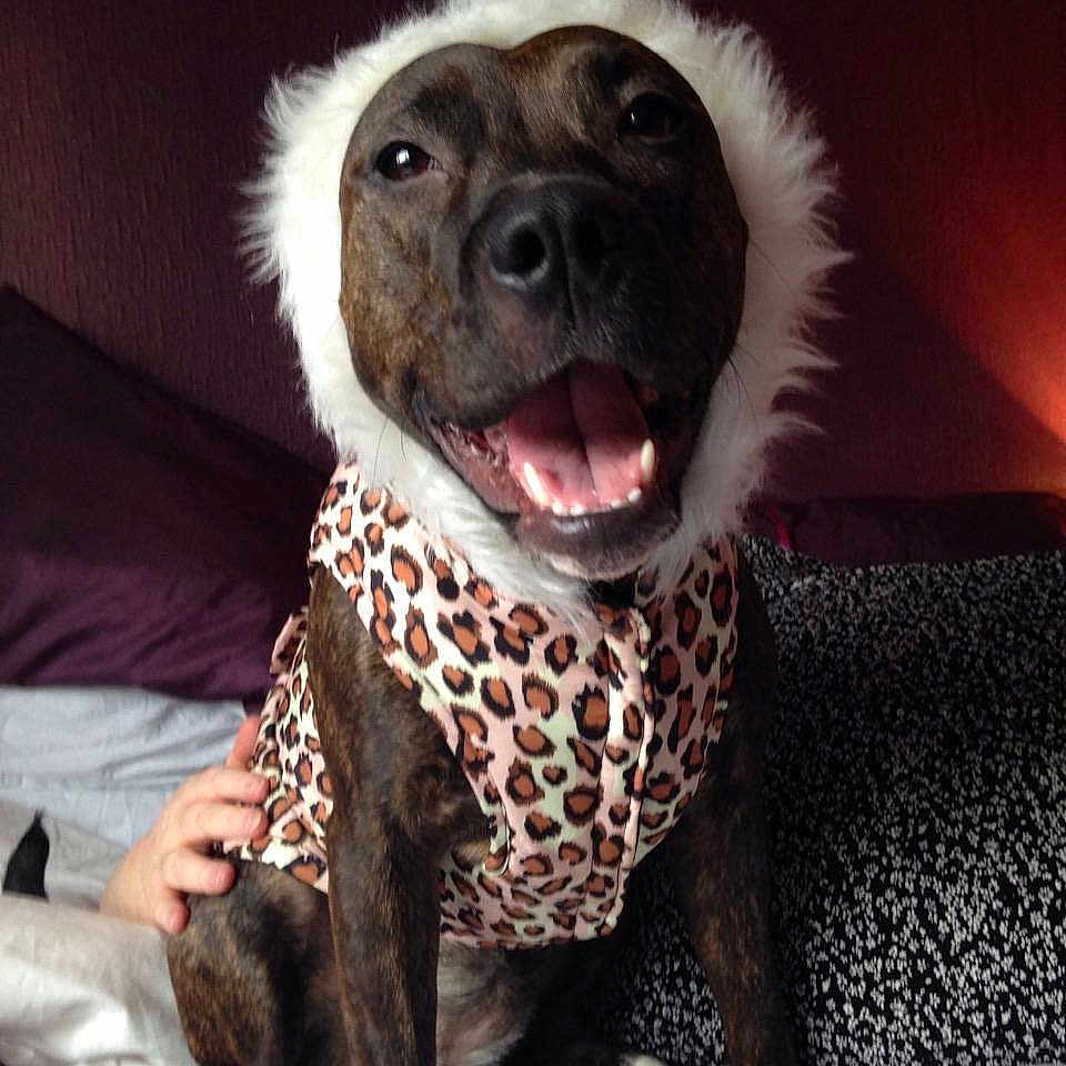 Roxy