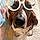 Arlo